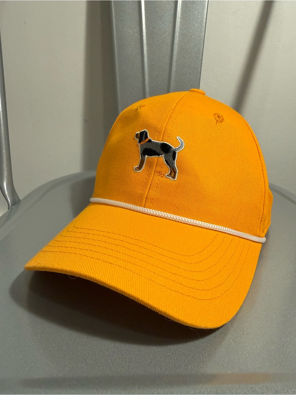 Tennessee Vols Smokey Baseball Hat